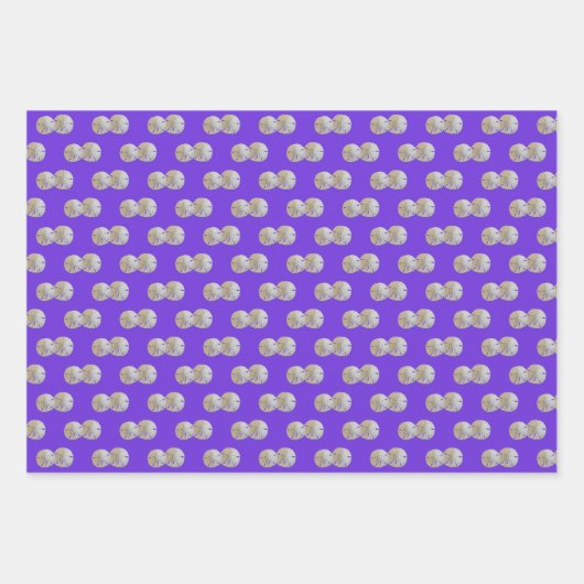 SandDollars Lila rosa Gemustert Geschenkpapier Set (Vorderseite)