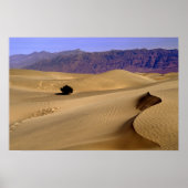 Sanddüne im Death Valley Poster (Vorne)
