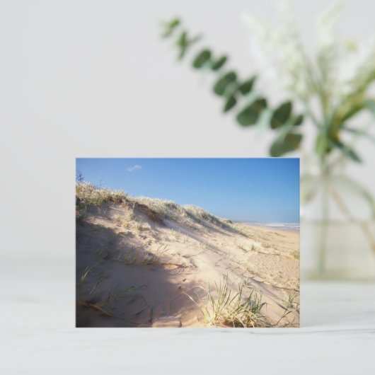 Sanddüne Postkarte (Stehend Vorderseite)
