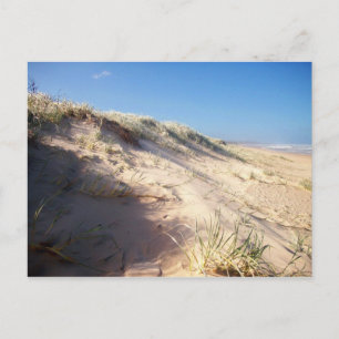 Sanddüne Postkarte