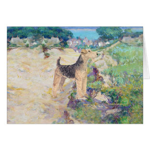 Sanddünen
