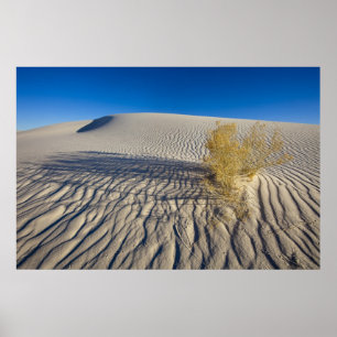Sanddünen im Nationaldenkmal der weißen Sande in 3 Poster