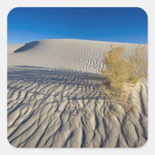 Sanddünen im Nationaldenkmal der weißen Sande in 3 Quadratischer Aufkleber