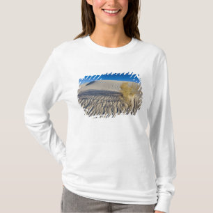 Sanddünen im Nationaldenkmal der Weißen Sande in 3 T-Shirt