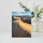 Sanddünen im Todestal, CA Postkarte (Stehend Vorderseite)