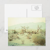 Sanddünen im Todestal Postkarte (Vorne/Hinten)