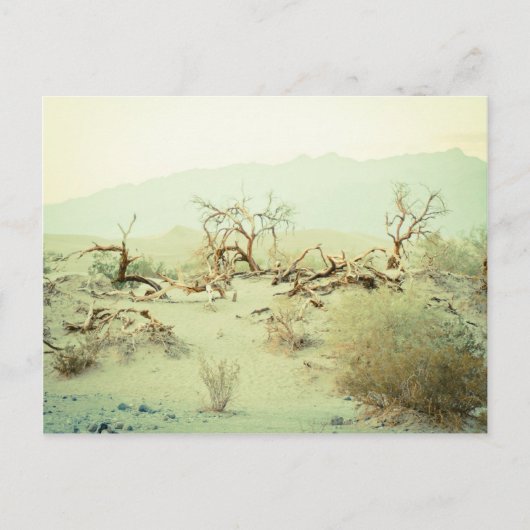 Sanddünen im Todestal Postkarte (Vorderseite)