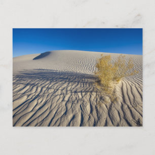 Sanddünen im White Sands National Monument in 3 Postkarte