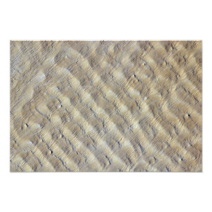 Sanddünen in der Fachi-Bilma-Ära Fotodruck