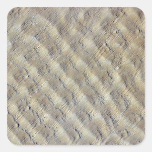 Sanddünen in der Fachi-Bilma-Ära Quadratischer Aufkleber