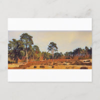 Sanddünen in Holm bei der Hamburger Naturkunst