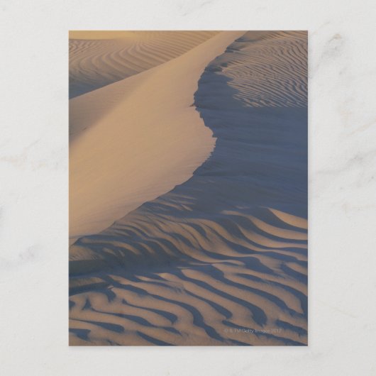 Sanddünen in Mesziemlich Flats Postkarte (Vorderseite)