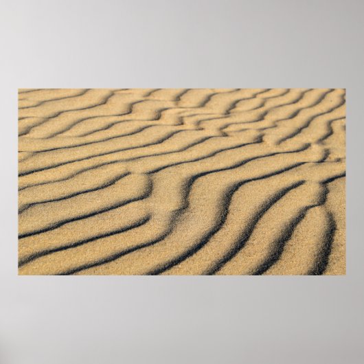 Sanddünen mit Sandstrand Poster (Vorne)