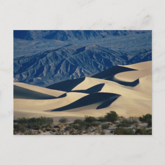 Sanddünen mit Schatten im Todestal Postkarte (Vorderseite)
