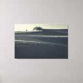 Sanddünen mit Yucca Leinwanddruck (Vorderseite)