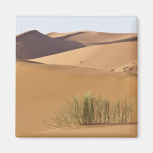 Sanddünen, Sahara-Wüste, Marokko Magnet
