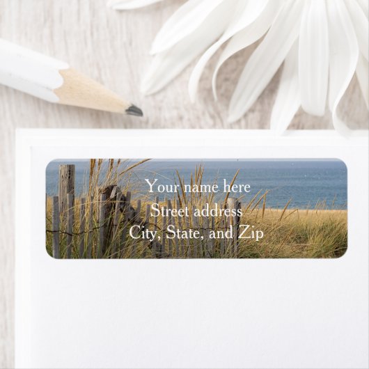 Sanddünen und Beachzaun (Insitu)