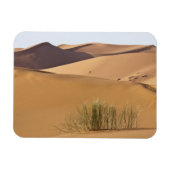 Sanddünen, Wüste Sahara, Marokko Magnet (Horizontal)