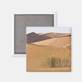 Sanddünen, Wüste Sahara, Marokko Magnet (Vorderseite/Rückseite)