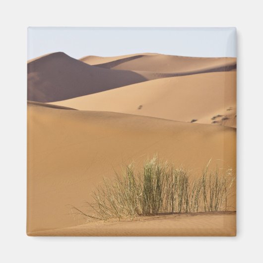 Sanddünen, Wüste Sahara, Marokko Magnet (Vorne)