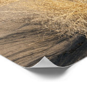 Sanddünenformationen. Bruneau Dunes Staat Park 2 Poster (Ecke)