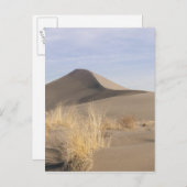 Sanddünenformationen. Bruneau Dunes Staat Park 2 Postkarte (Vorne/Hinten)