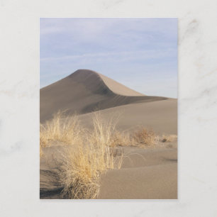 Sanddünenformationen. Bruneau Dunes Staat Park 2 Postkarte