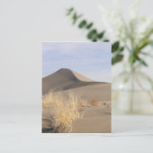 Sanddünenformationen. Bruneau Dunes Staat Park 2 Postkarte (Stehend Vorderseite)