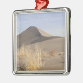 Sanddünenformationen. Bruneau Dunes Staat Park 2 Silbernes Ornament (Links)