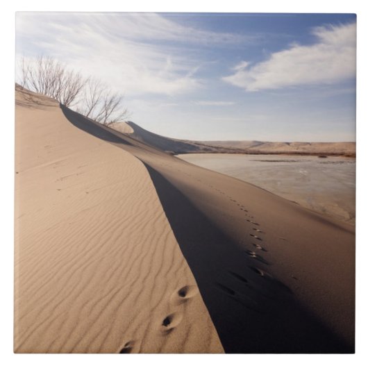 Sanddünenformationen. Bruneau Dunes Staat Park Fliese (Vorderseite)