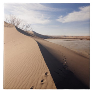 Sanddünenformationen. Bruneau Dunes State Park Fliese