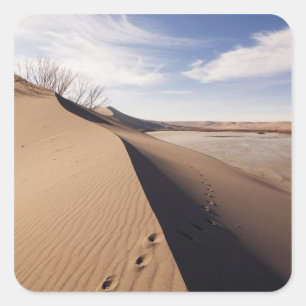 Sanddünenformationen. Bruneau Dunes State Park Quadratischer Aufkleber