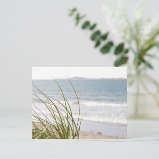 Sanddünengras-Ansicht Postkarte (Stehend Vorderseite)