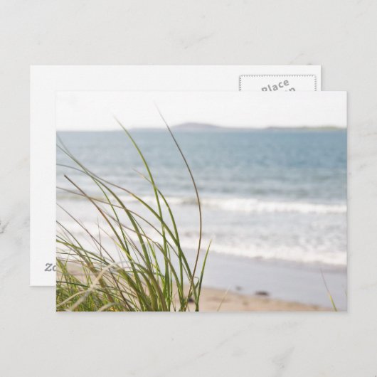 Sanddünengras-Ansicht Postkarte (Vorne/Hinten)