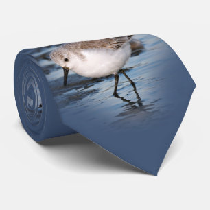 Sanderling auf einem Winterstrand Krawatte