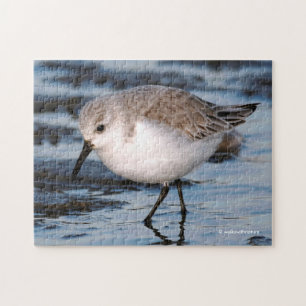 Sanderling auf einem Winterstrand Puzzle