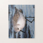 Sanderling auf einem Winterstrand Puzzle (Vertikal)