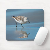 Sanderling (Calidris Albe) Fütternd am Strand von  Mousepad (Mit Mouse)