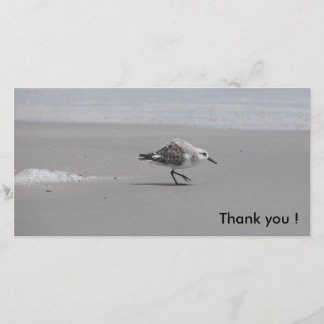 Sanderling, danke! dankeskarte