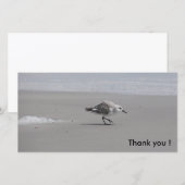 Sanderling, danke! dankeskarte (Vorne/Hinten)