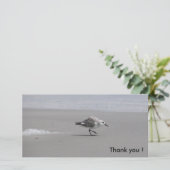 Sanderling, danke! dankeskarte (Stehend Vorderseite)