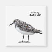 Sanderling Magnet (Vorne)