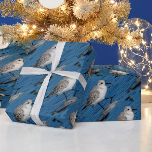 Sanderling watet durch winterliche Gewässer Geschenkpapier