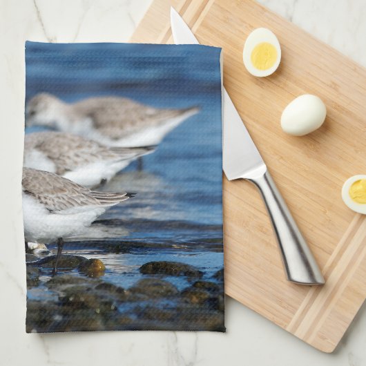 Sanderlings, die in gestaffelter Synchronizität fü Geschirrtuch (Viertel Falte)
