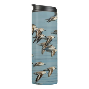 Sanderlings fliegen im Winter Thermosbecher