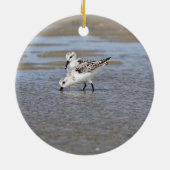 Sanderlings Keramik Ornament (Hinten)