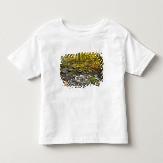 Sanderson Brook. Chester-Blanford Staat Forest. Kleinkind T-shirt (Vorderseite)