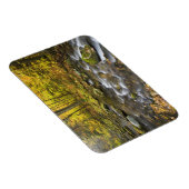 Sanderson Brook. Chester-Blanford Staat Forest. Magnet (Rechte Seite)
