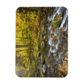 Sanderson Brook. Chester-Blanford Staat Forest. Magnet (Vertikal)