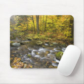 Sanderson Brook. Chester-Blanford Staat Forest. Mousepad (Mit Mouse)